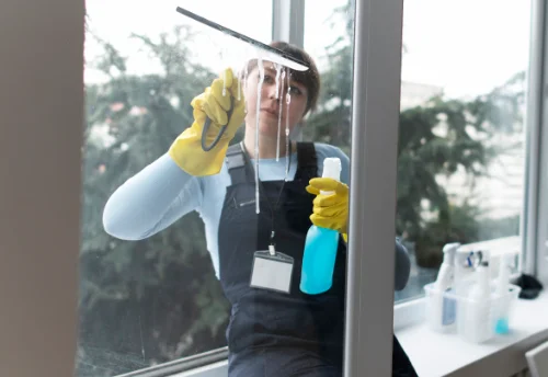 Nettoyage de vitres intérieures et extérieures à Pissotte